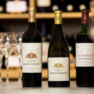Visite Œnotouristique et Visite du Terroir avec Dégustation (Saint-Polycarpe, Aude - 11)