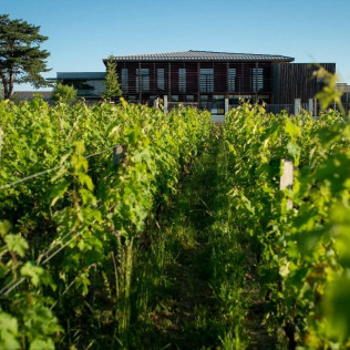 Visite du Domaine Château Couhins et Dégustation d’un Vin Cru Classé de Graves (Villenave d'Ornon, Gironde- 33)