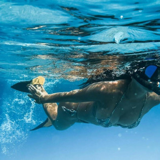 Snorkeling en Randonnée Palmée (Cannes, Alpes-Maritimes - 06)