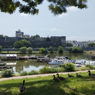 Séjour en Logement Insolite : Nuit sur La Toue Belle de Maine avec Petit-déjeuner (Angers, Maine-et-Loire- 49)