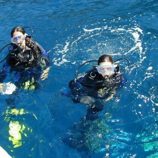 Pack Découverte de Plongée dans la baie de Villefranche (Nice, Alpes-Maritimes- 06)