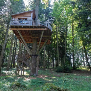 Séjour Insolite : Nuit en Cabane “HÉRISSON” ou “MARMOTTE” avec Petit-déjeuner et Spa (Belsentes, Ardèche - 07)