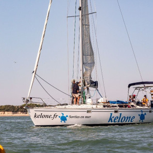 Sortie en Bateau la Matinée (La Rochelle, Charente-Maritime- 17)