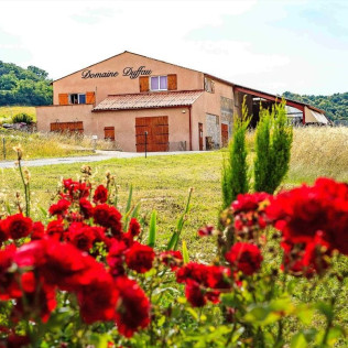 Visite du Domaine Viticole Duffau avec Dégustation de Vins (Gaillac, Tarn - 81)