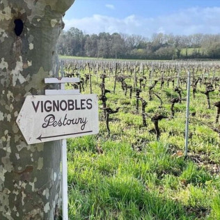 Visite d’un Vignoble Familial Biologique près de Bordeaux avec Dégustation (Yvrac, Gironde- 33)