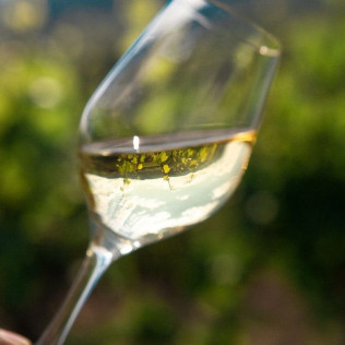 Visite Coup de Foudre du Vignoble au Château de la Greffière pour deux (La Roche Vineuse, Bourgogne - 71)