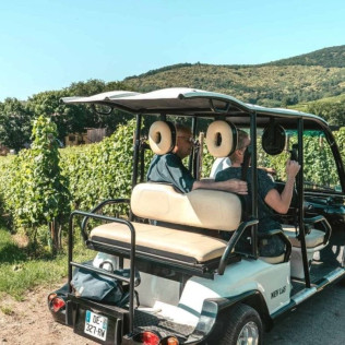 Promenade et Visite du Vignoble en Duo en Véhicule Électrique au Domaine Pierre Adam (Haut-Rhin, Alsace - 68)