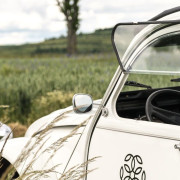 Escapade en 2CV et Baptême de l'Air en Avion pour deux (Jouey, Côte-d'Or - 21)