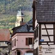 Visite de Cave en Alsace et Découverte du Vin (Saint-Hippolyte, Haut-Rhin - 68)