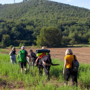 Balade “Écureuil” avec les Ânes (Saint-Martin-de-Brômes, PACA - 04)