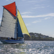 Sortie en Mer et Balade en Bateau dans le Golfe du Morbihan (Arzon, Morbihan - 56)