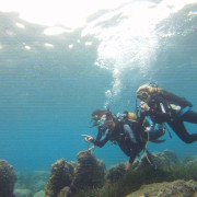 Baptême de Plongée dans la baie de Villefranche (Nice, Alpes-Maritimes- 06)