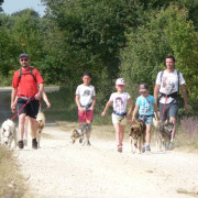 Cani-Randonnée avec des chiens nordiques (Chênehutte, Maine-et-Loire - 49)