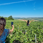 Visite de la Cave et du Domaine Harlin avec Dégustation de Champagne (Mareuil-le-Port, Marne - 51)