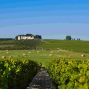 Cours d’Œnologie avec Dégustation de Vins de Bordeaux en Duo dans un Château (Cadaujac, Gironde- 33)