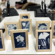 Atelier Cyanotype à Lille (Templemars, Nord - 59)