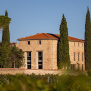 Visite du Domaine Viticole et Dégustation pour deux (Banyuls-dels-Aspres, Pyrénées-Orientales - 66)