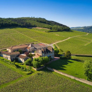 Visite et Dégustation de Vin Mâcon pour deux au Château de la Greffière (La Roche Vineuse, Bourgogne - 71)