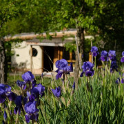 Séjour au Chalet Charme avec Option Bain Nordique avec Canyon Canigou (Clara, Pyrénées-Orientales - 66)