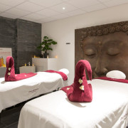 Massage Ayurvédien Indien au Natural Spa Institut (Magny-les-Hameaux, Yvelines - 78)
