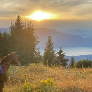 Randonnée à Cheval Revard Bellevue (La Féclaz, Savoie - 73)