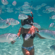 Snorkeling et Randonnée Palmée Autonome (Calvi, Corse- 20)