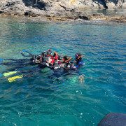 Snorkeling et Randonnée Palmée encadrée (Saint-Cyprien, Pyrénées-Orientales - 66)