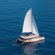 Sortie en Catamaran en Matinée (Var / Alpes-Maritimes / Bouches-du-Rhône)