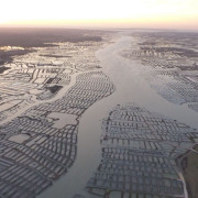Vol sur la Côte Sauvage en ULM (Saint-Sulpice-de-Royan, Nouvelle-Aquitaine)