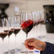 Visite Sensorielle et Dégustation de Vins en Duo au Château de Ferrand (Saint-Émilion, Gironde - 33)