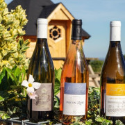 Visite avec Dégustation de Vins à l’aveugle pour deux au Domaine Joseph Lafarge (Lugny, Bourgogne- 71)