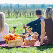Visite avec Dégustation de 3 Vins et Pique-nique en Duo aux Vignobles Chatonnet (Néac, Gironde - 33)
