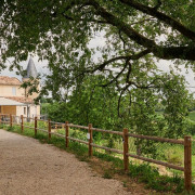 Visite de Vignoble et Pique-nique pour deux au Château La Croizille (Saint-Émilion, Gironde - 33)
