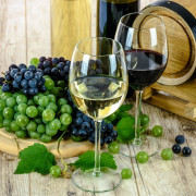 Cours d'Œnologie 3 niveaux (Saint-Herblain, Loire-Atlantique - 44 )