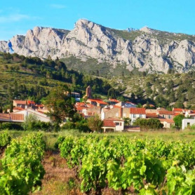 Dégustation de Vins et Assiette gourmande pour deux (Vingrau, Pyrénées-Orientales - 66)